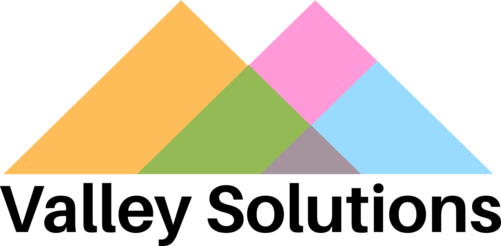 Valley Solutions Group Logo